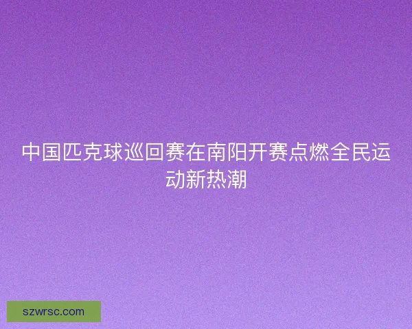 中国匹克球巡回赛在南阳开赛点燃全民运动新热潮 中国匹克球巡回赛在南阳开赛点燃全民运动新热潮