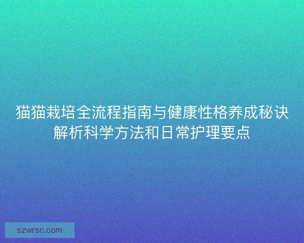 猫猫栽培全流程指南与健康性格养成秘诀解析科学方法和日常护理要点